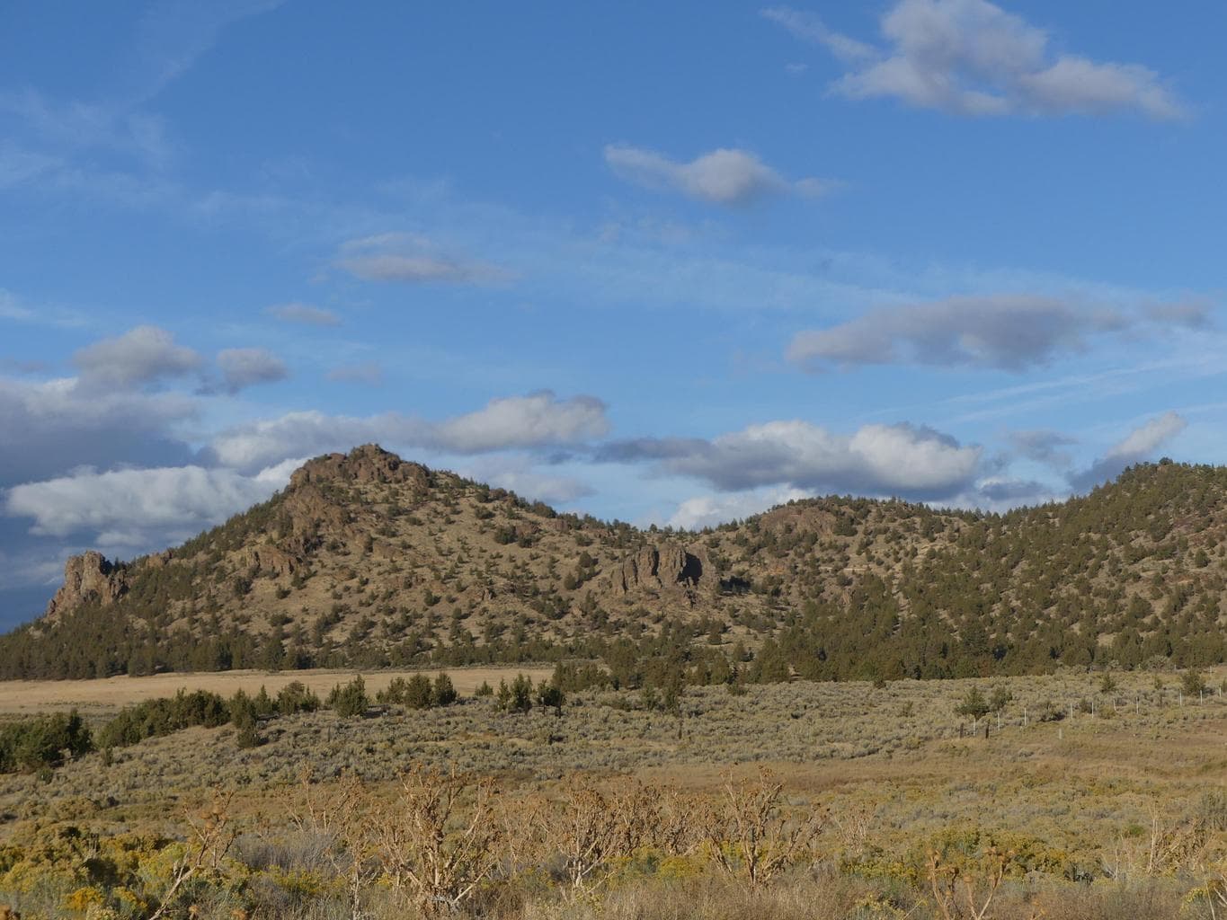 Barnes Butte - Federal public land (Bureau of Land Management (BLM)).