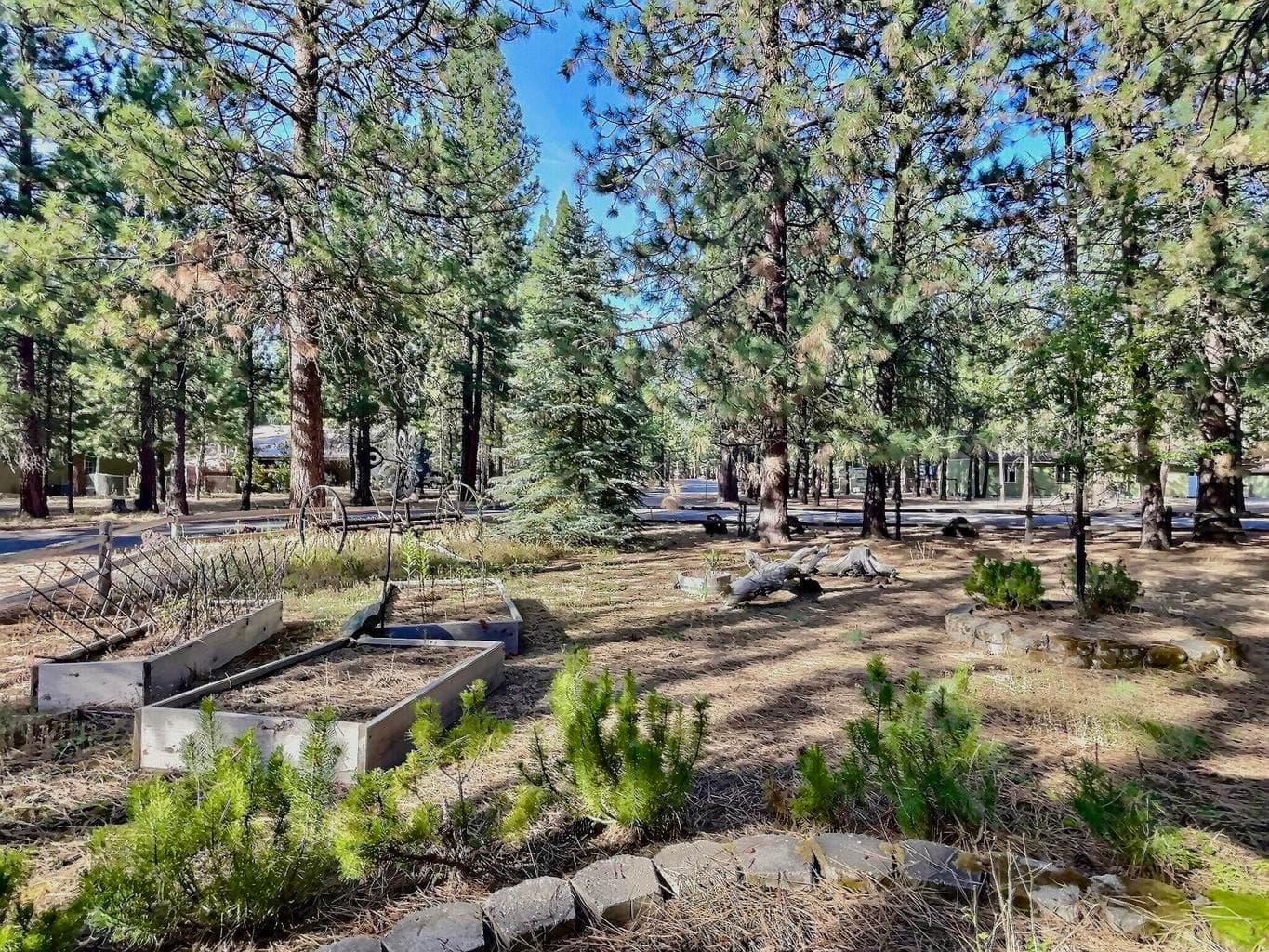 Photo of 14767 Heartwood 15 of 21