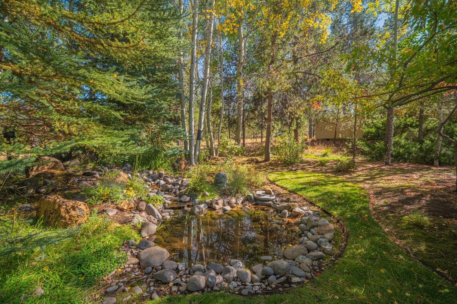 Waterfall/pond attract an abundance of wildlife