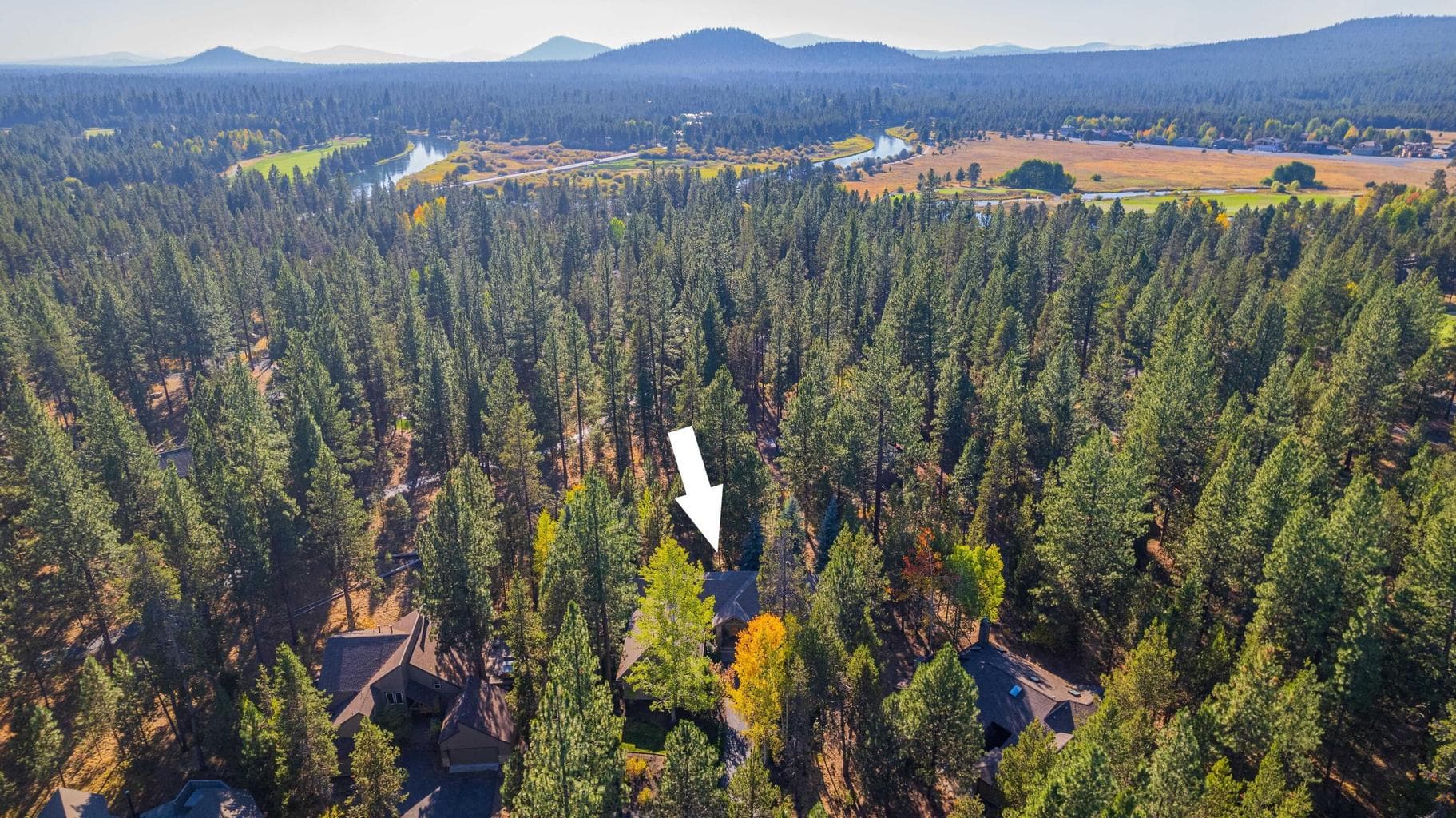 Photo of 17553 Forest Lane 67 of 67