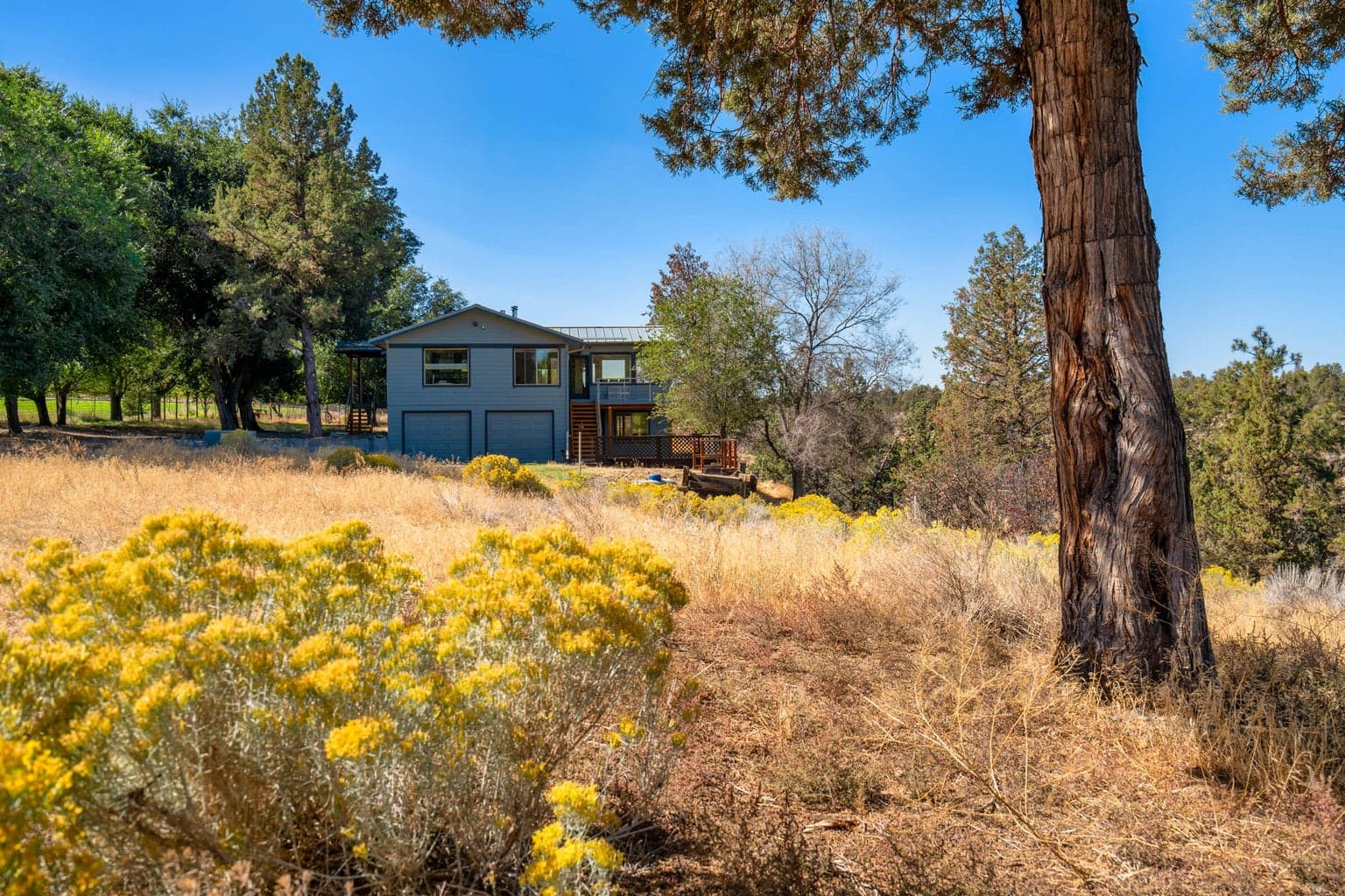 Photo of 1585 59th 5 of 85