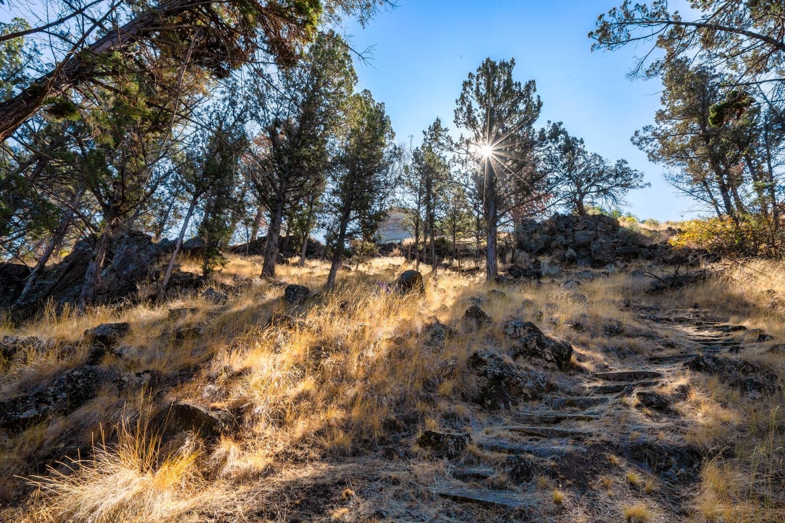 path to the river