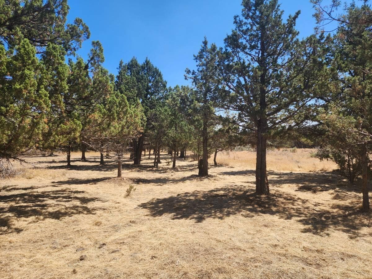 Photo of 7101 SE Lonesome Dove Road 11 of 14