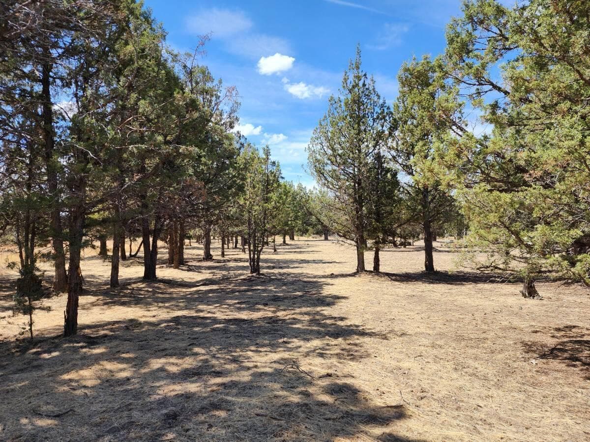 Photo of 7101 SE Lonesome Dove Road 7 of 14