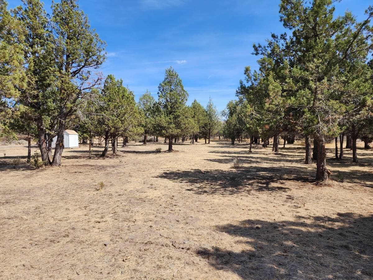 Photo of 7101 Lonesome Dove 4 of 14