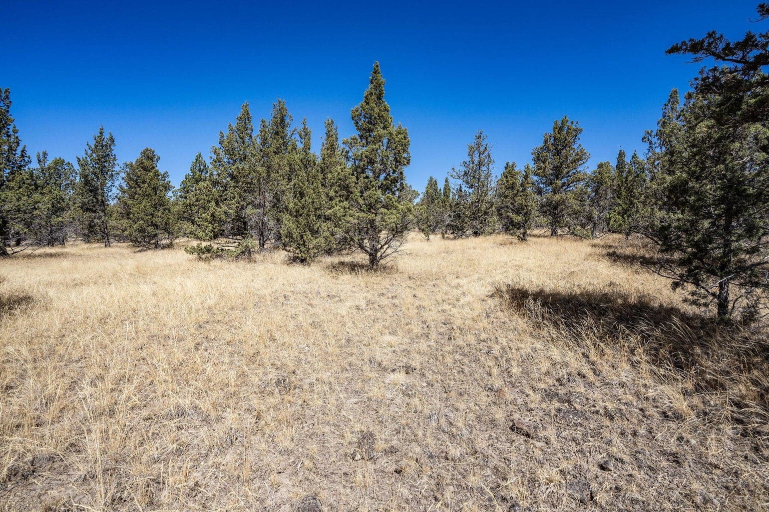 Photo of Juniper Canyon 2 of 12