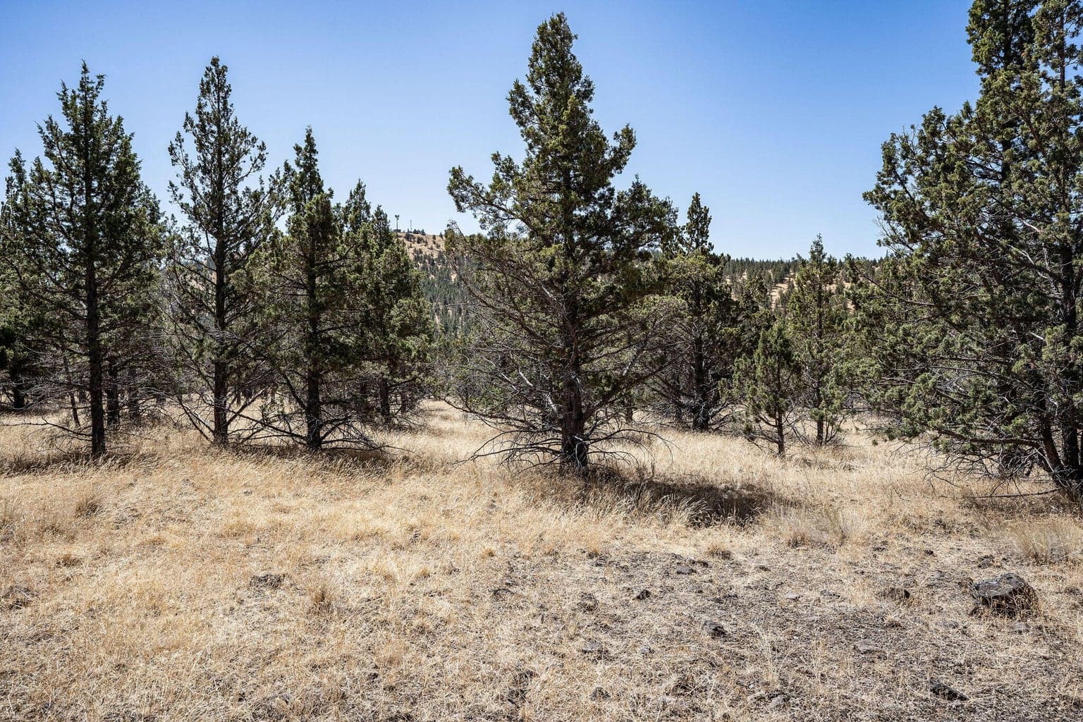 Photo of Juniper Canyon 3 of 12