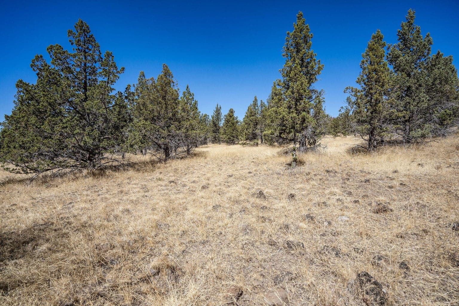 Photo of Juniper Canyon 4 of 12