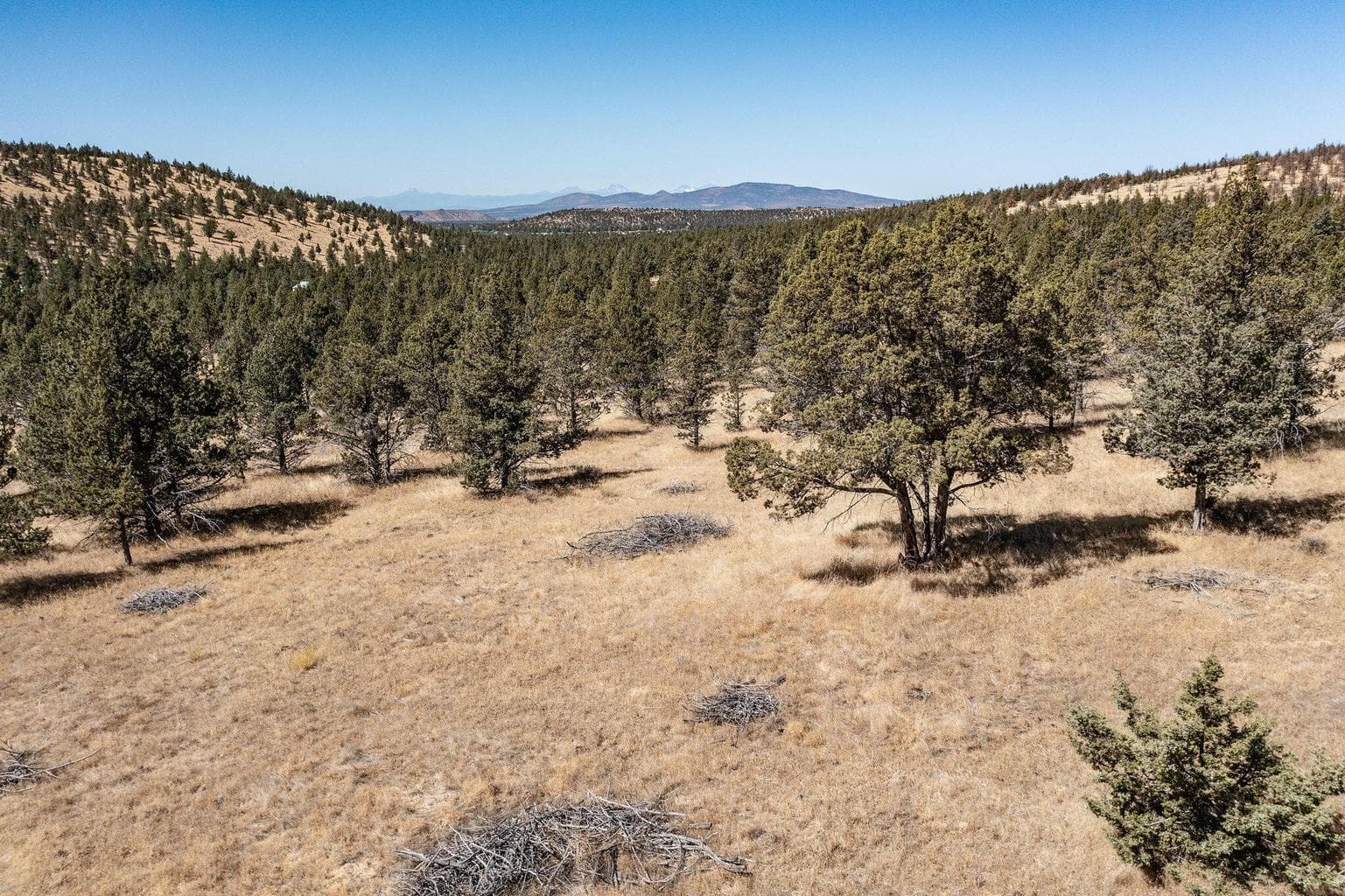 Photo of SE Juniper Canyon Road 7 of 12