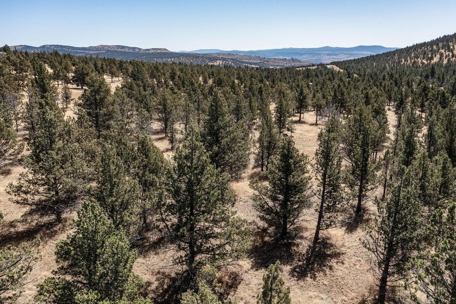 Photo of SE Juniper Canyon Road 9 of 12