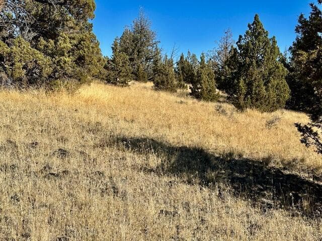 Photo of Lot 30 Texas 3 of 14