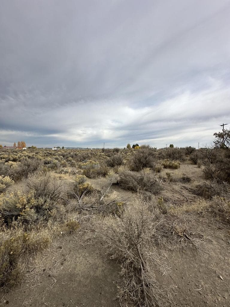 Aspen (APN 4773), Christmas Valley, 97641