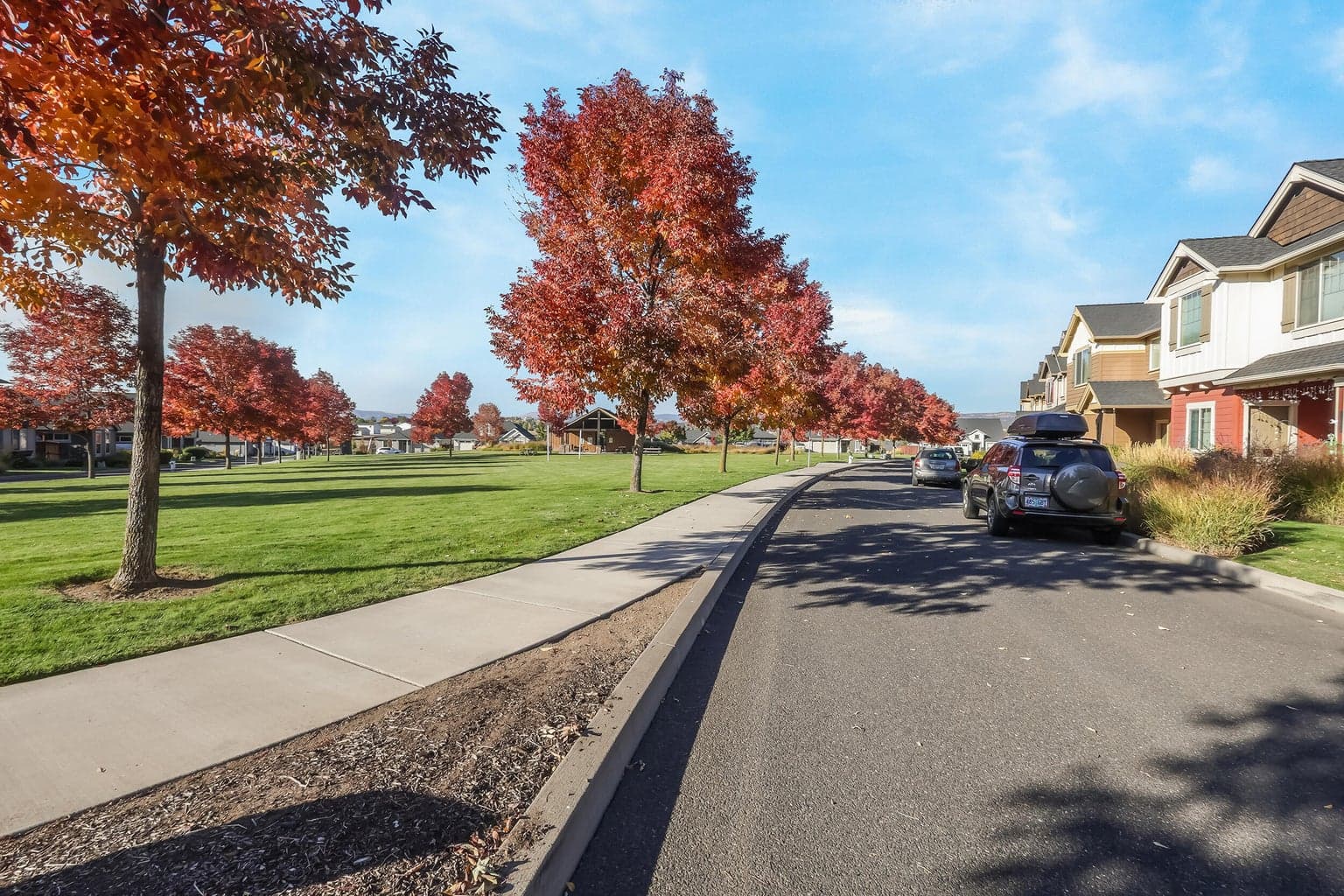 Open space across from house