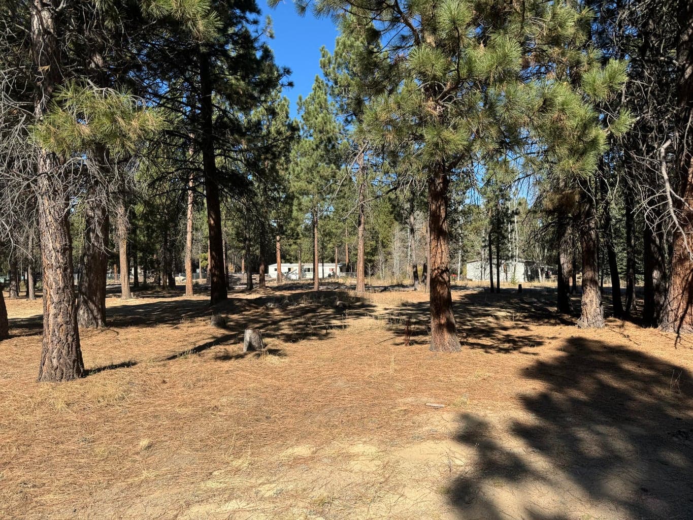 Photo of 148952 Snuffy Drive 35 of 46