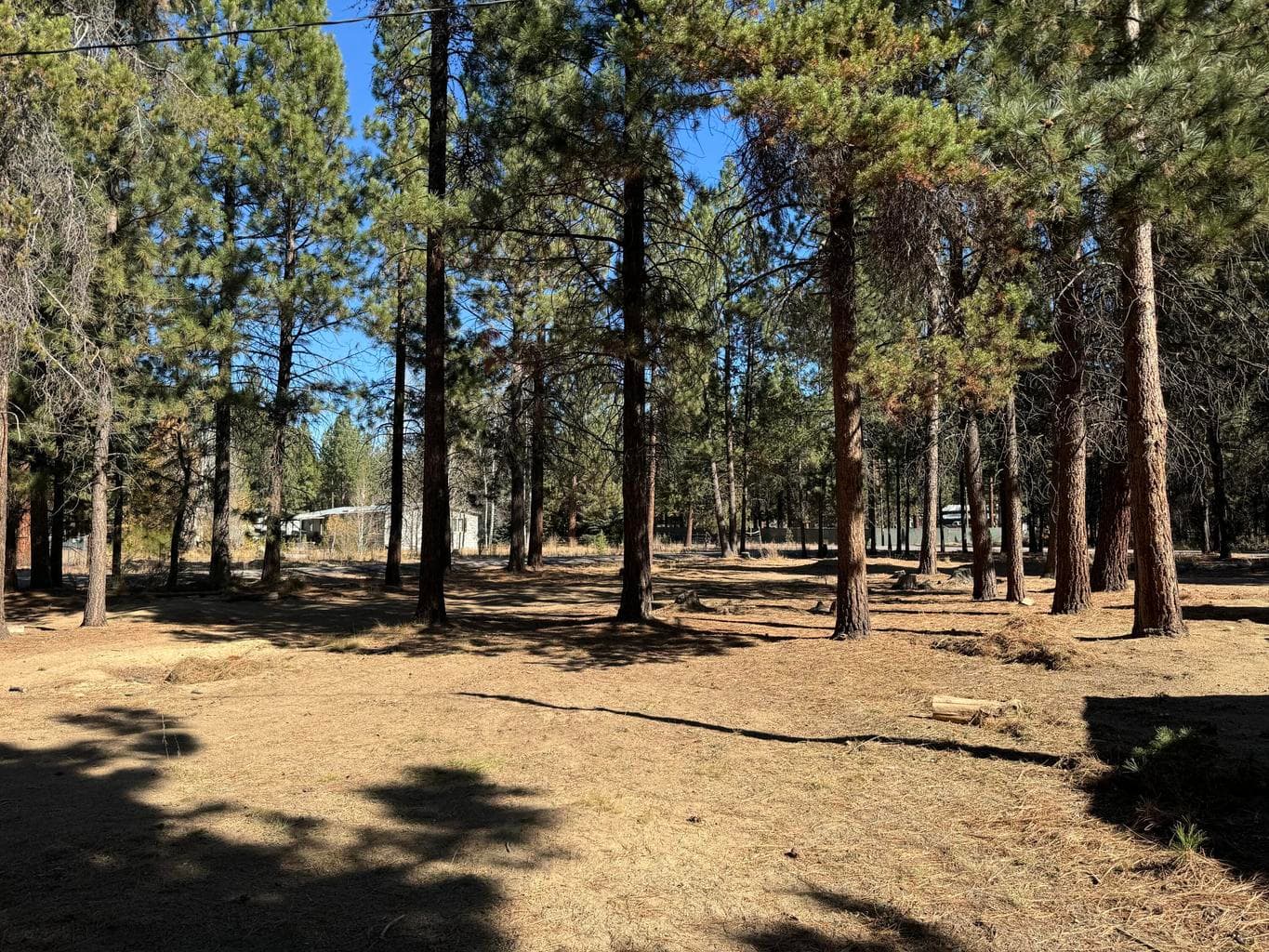 Photo of 148952 Snuffy Drive 42 of 46