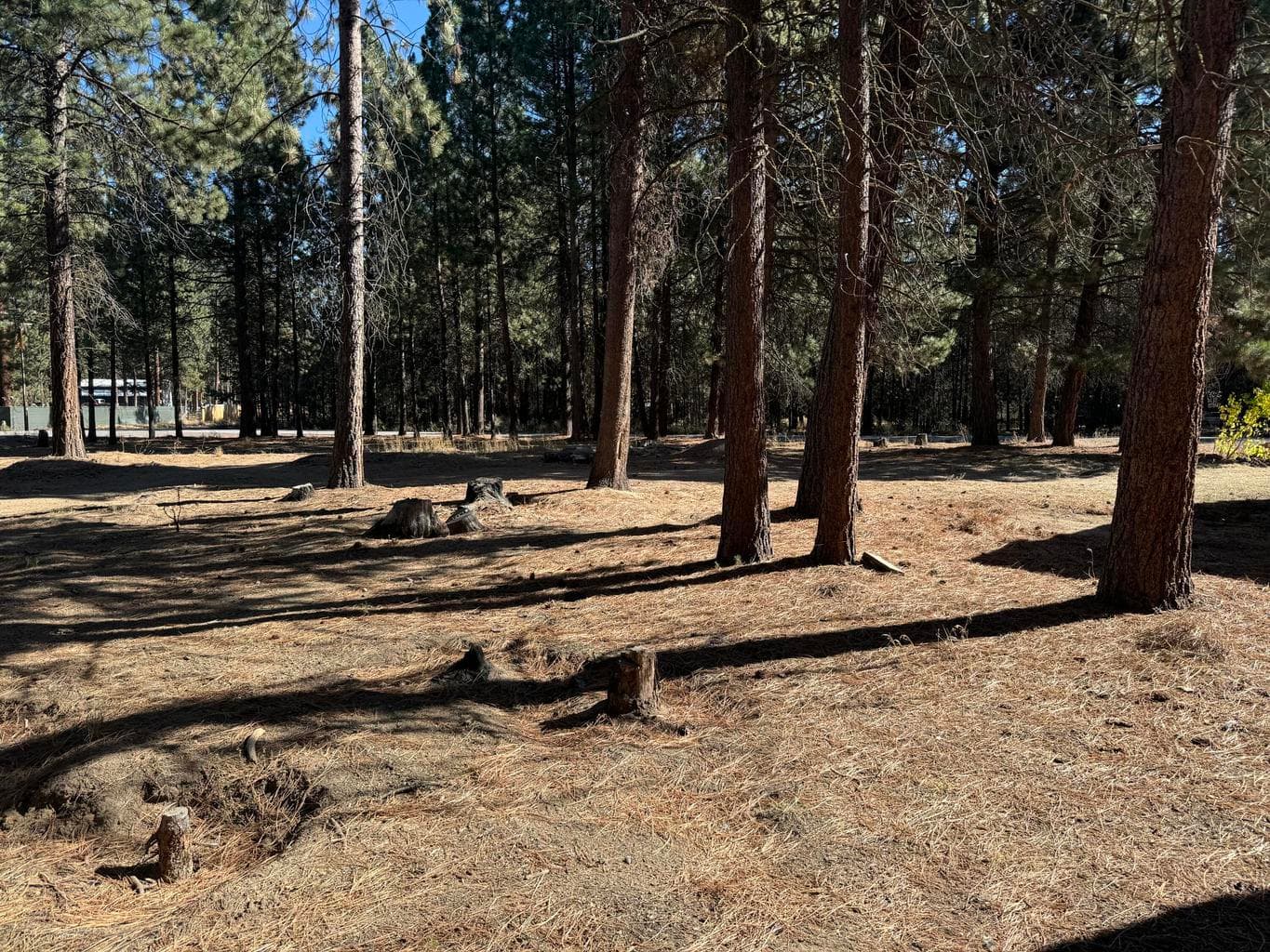 Photo of 148952 Snuffy Drive 43 of 46