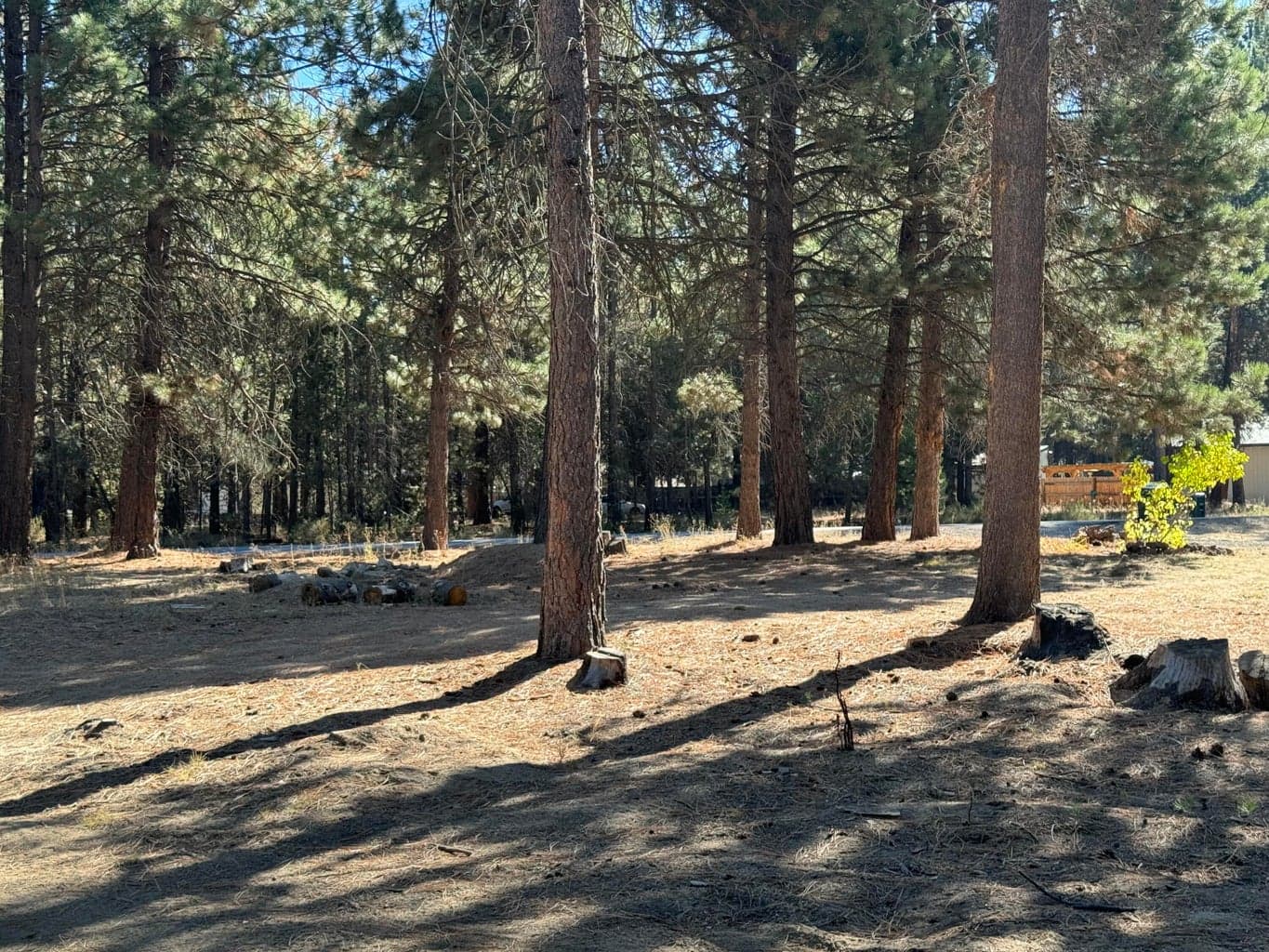 Photo of 148952 Snuffy Drive 44 of 46