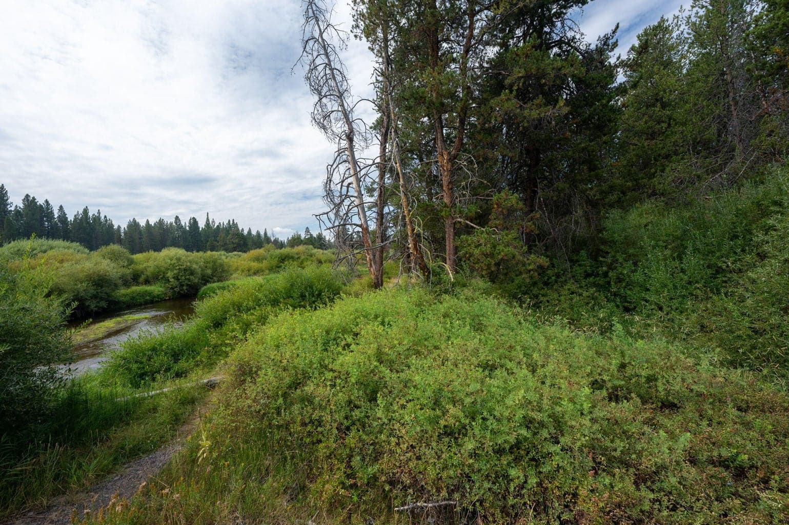 Photo of 51575 Dorrance Meadow Road 11 of 12