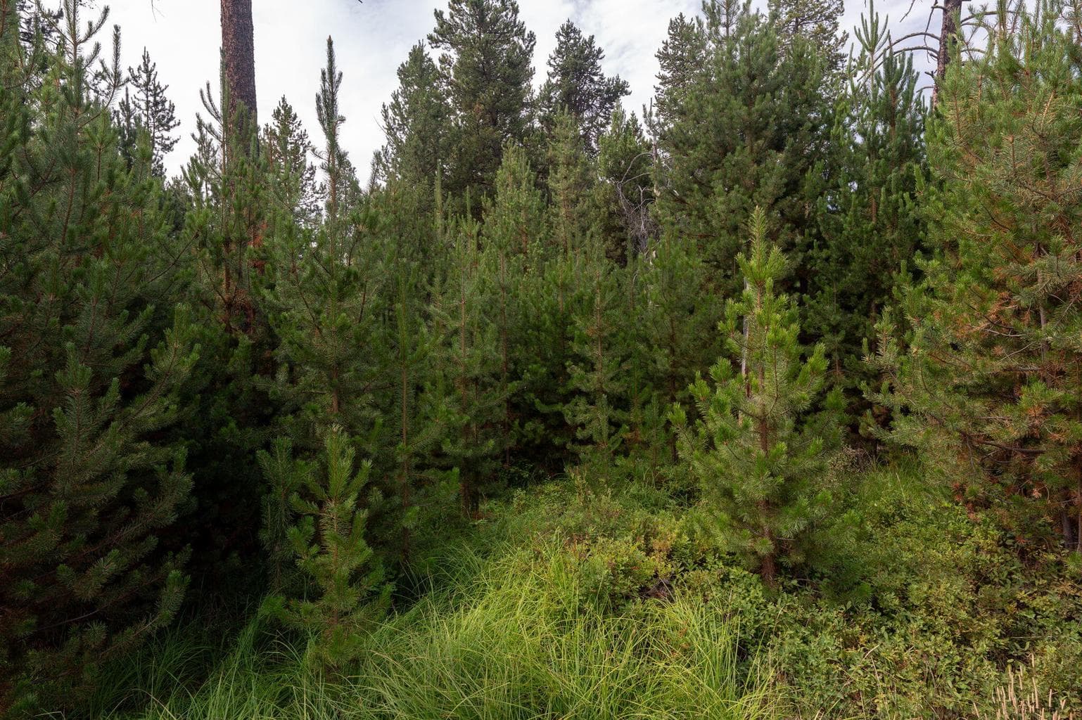 Photo of 51581 Dorrance Meadow Road 11 of 11