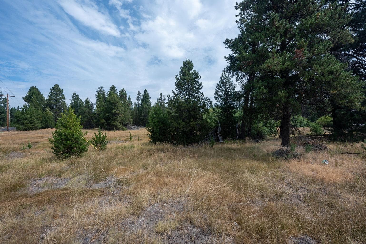 51596 Dorrance Meadow Road