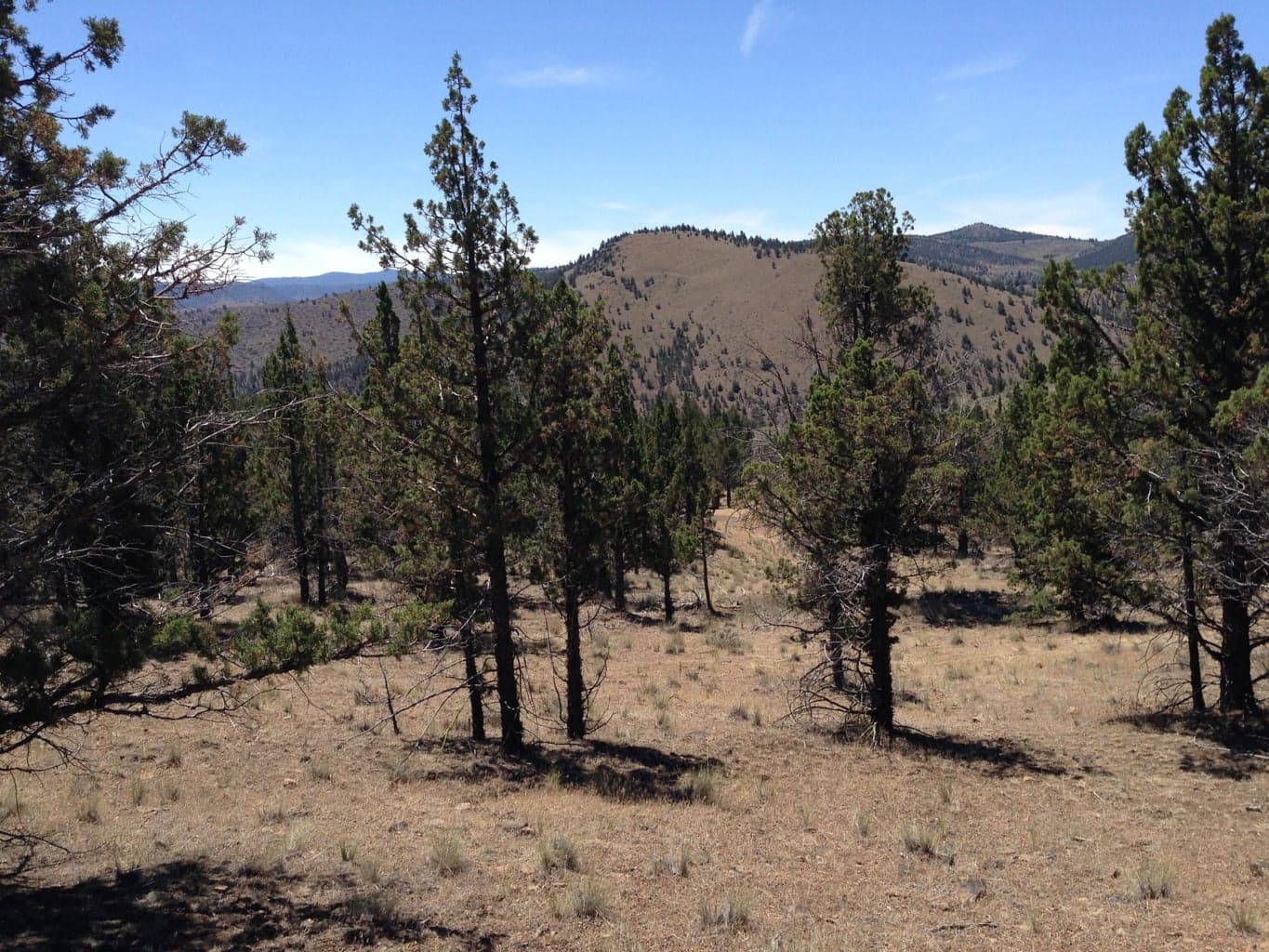 Photo of Riverside Ranch Lot 1 of 18