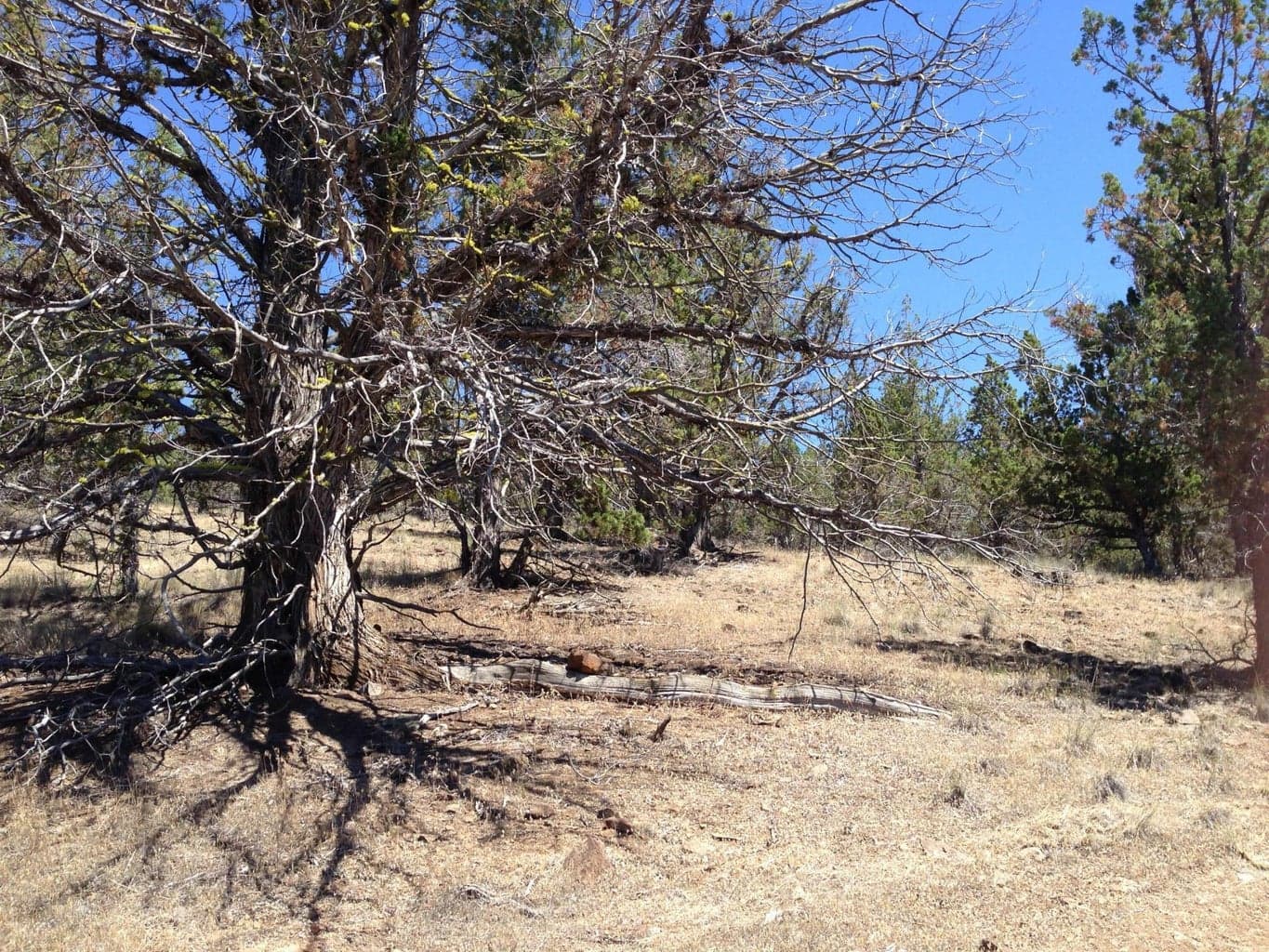 Photo of Riverside Ranch Lot 2 of 18