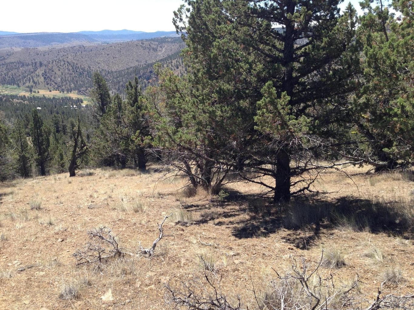 Photo of Riverside Ranch Lot 6 of 18
