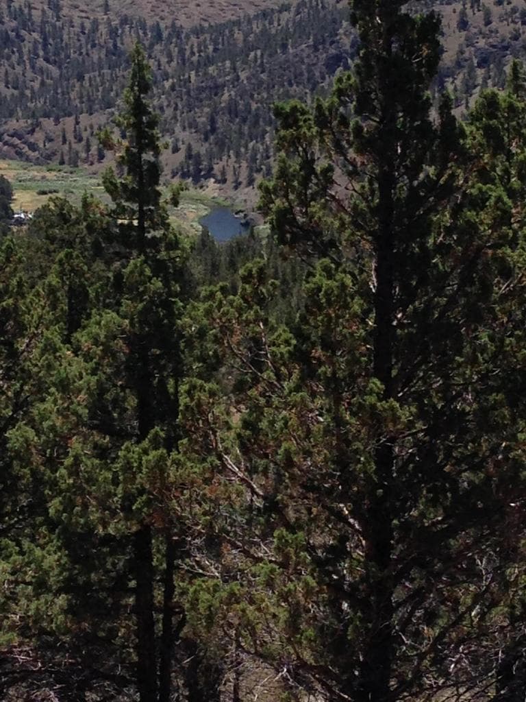 Photo of Riverside Ranch Lot 7 of 18