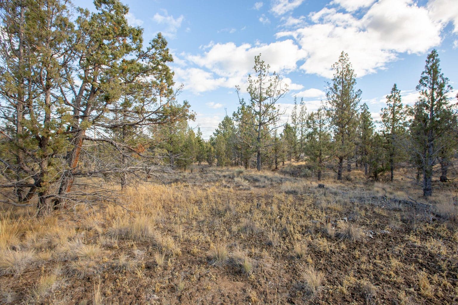 Photo of 1657 SE Texas Circle 29 of 36