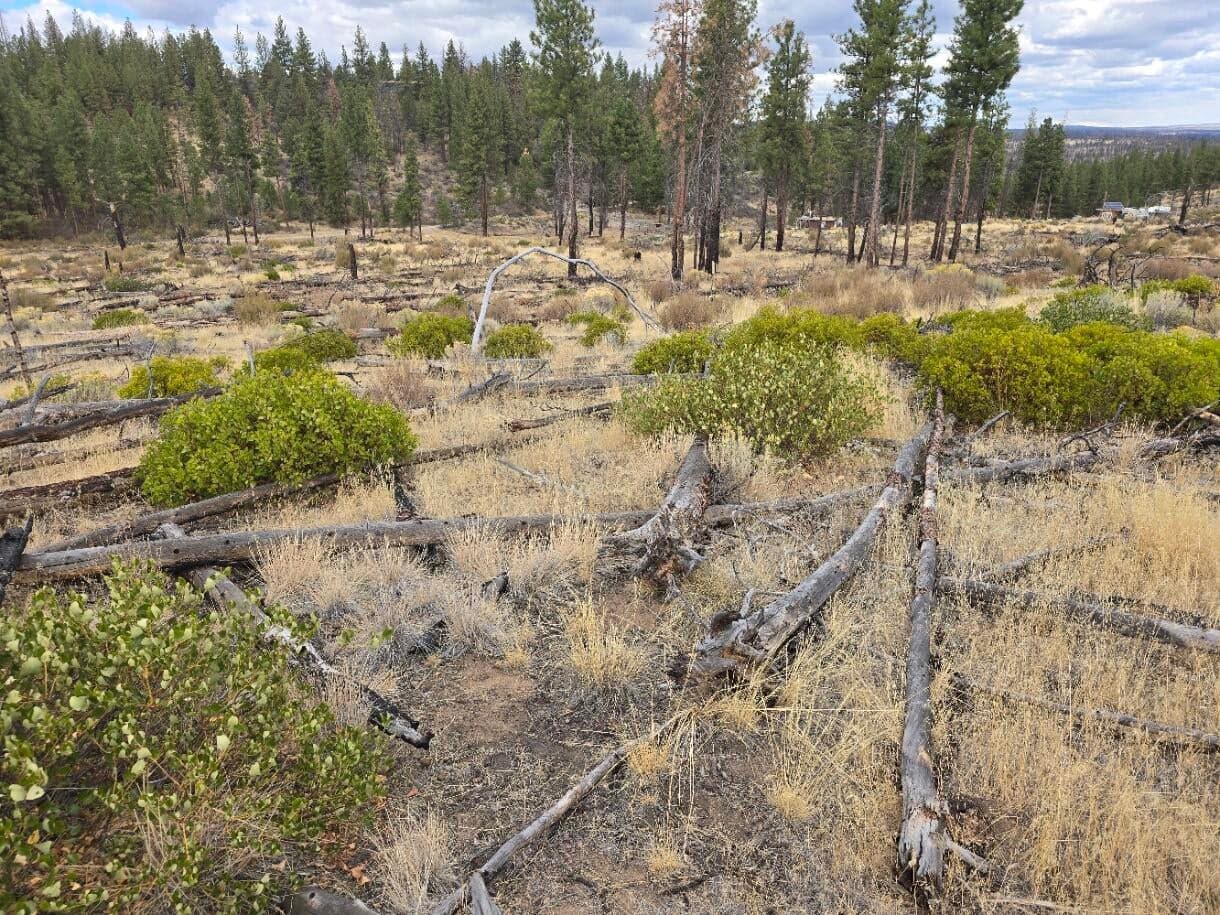 0 Partin