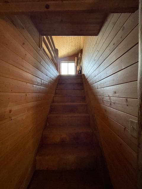 floor level