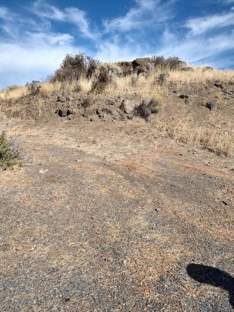 Photo of McKinley 2 of 6