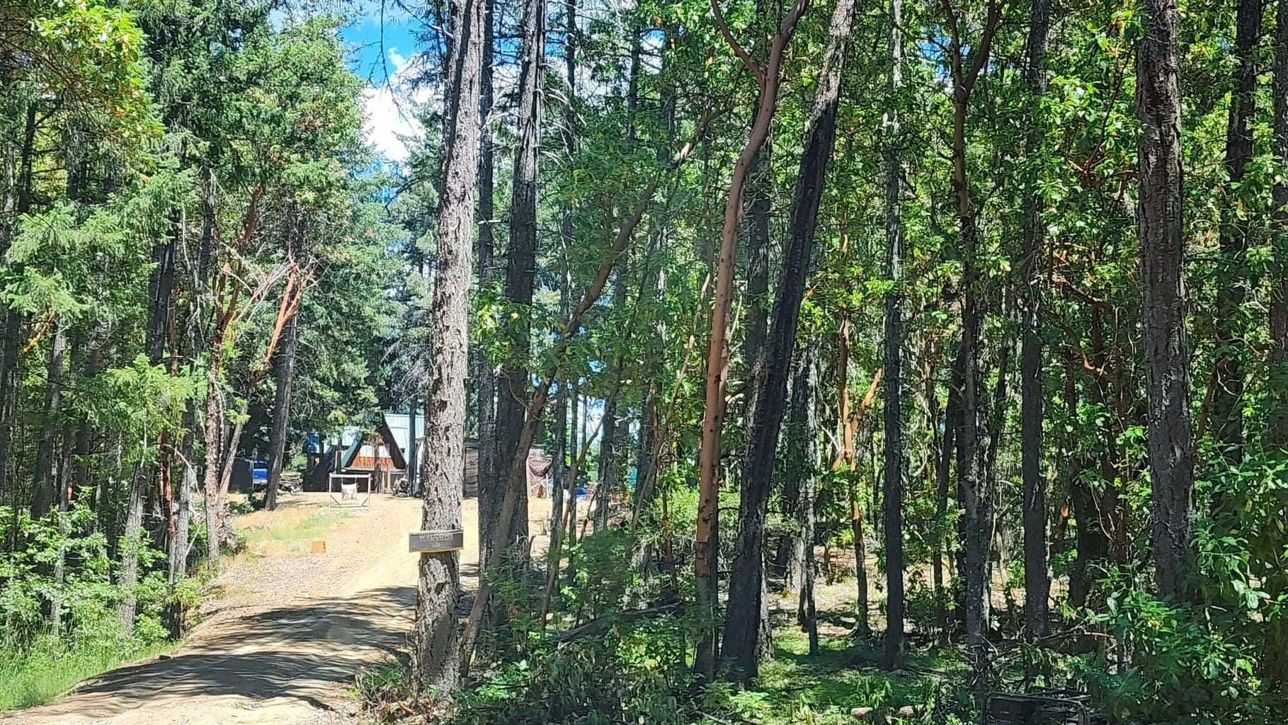 Photo of 0 Quartz Creek 3 of 10