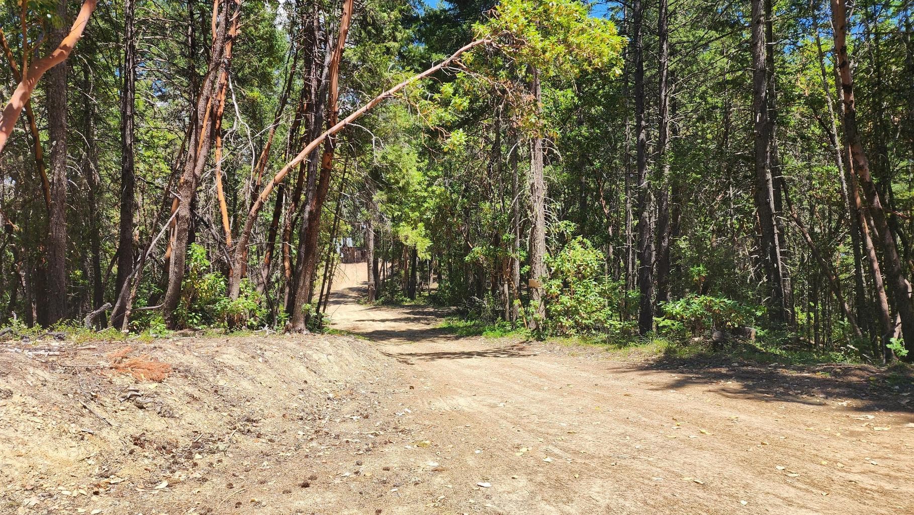 Photo of 0 Quartz Creek 4 of 10