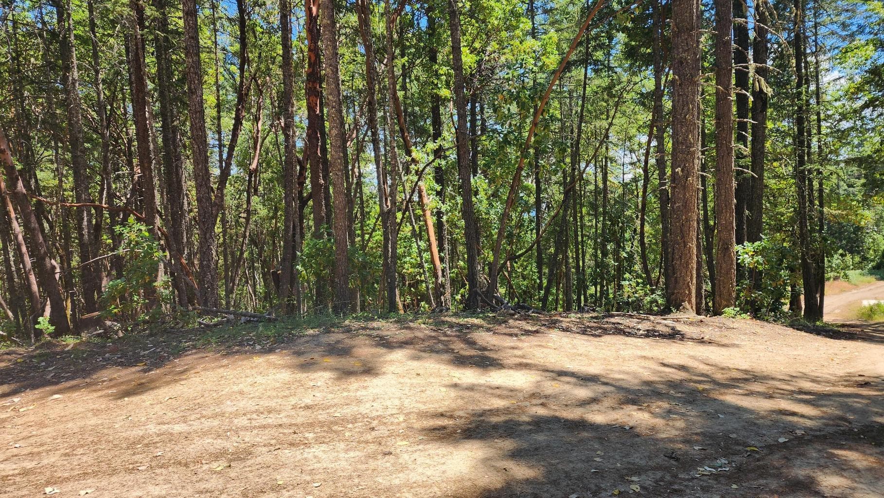 Photo of 0 Quartz Creek 5 of 10