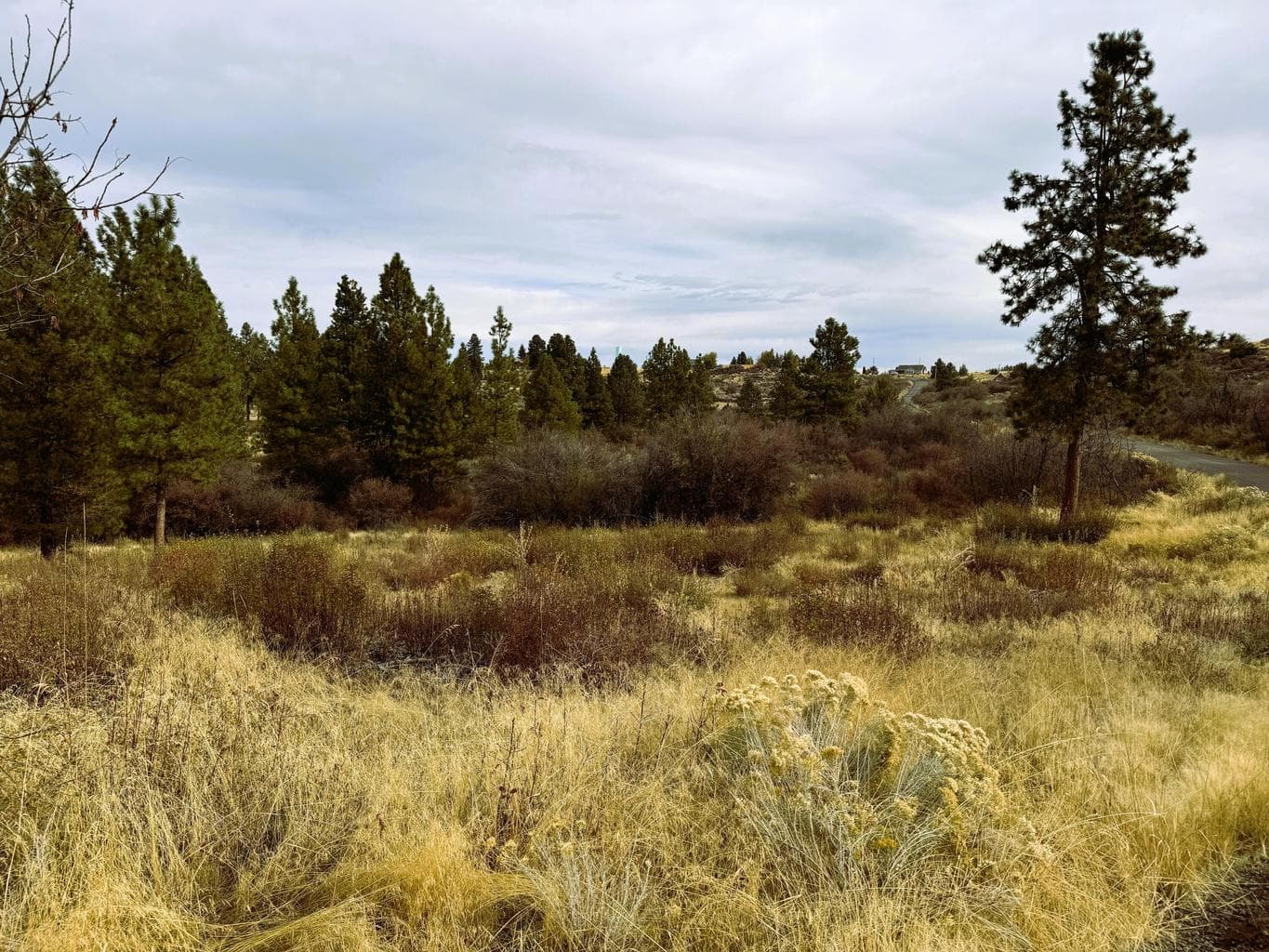 North, Lot 24
