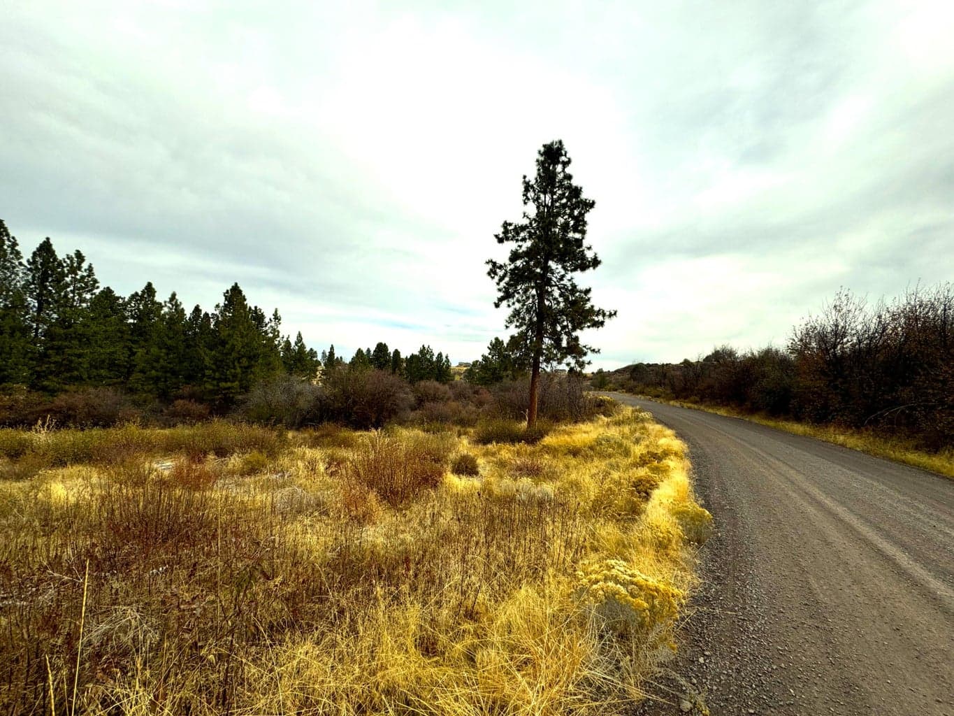 North, road surface
