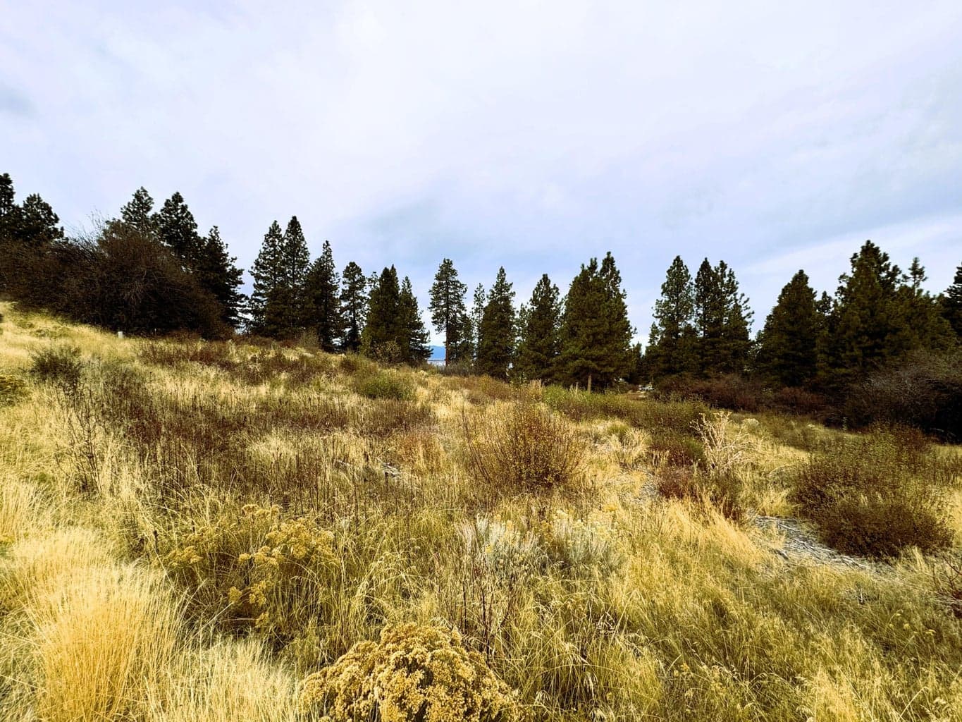Southwest, Lot 24