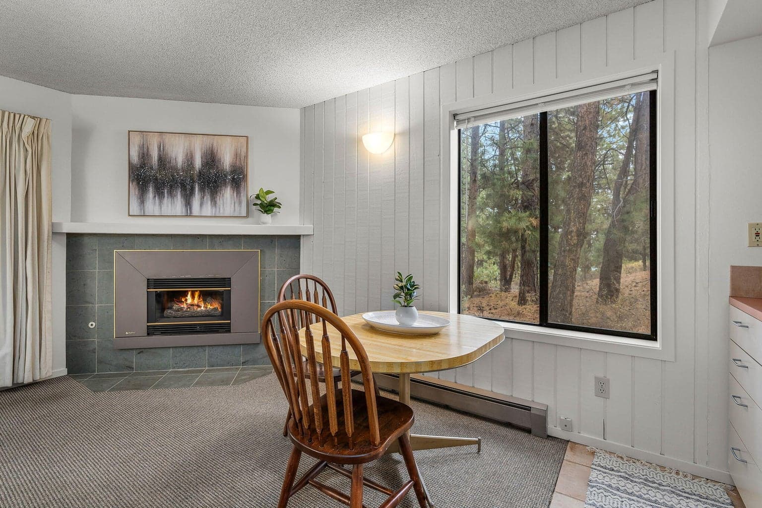 Window overlooking forested space