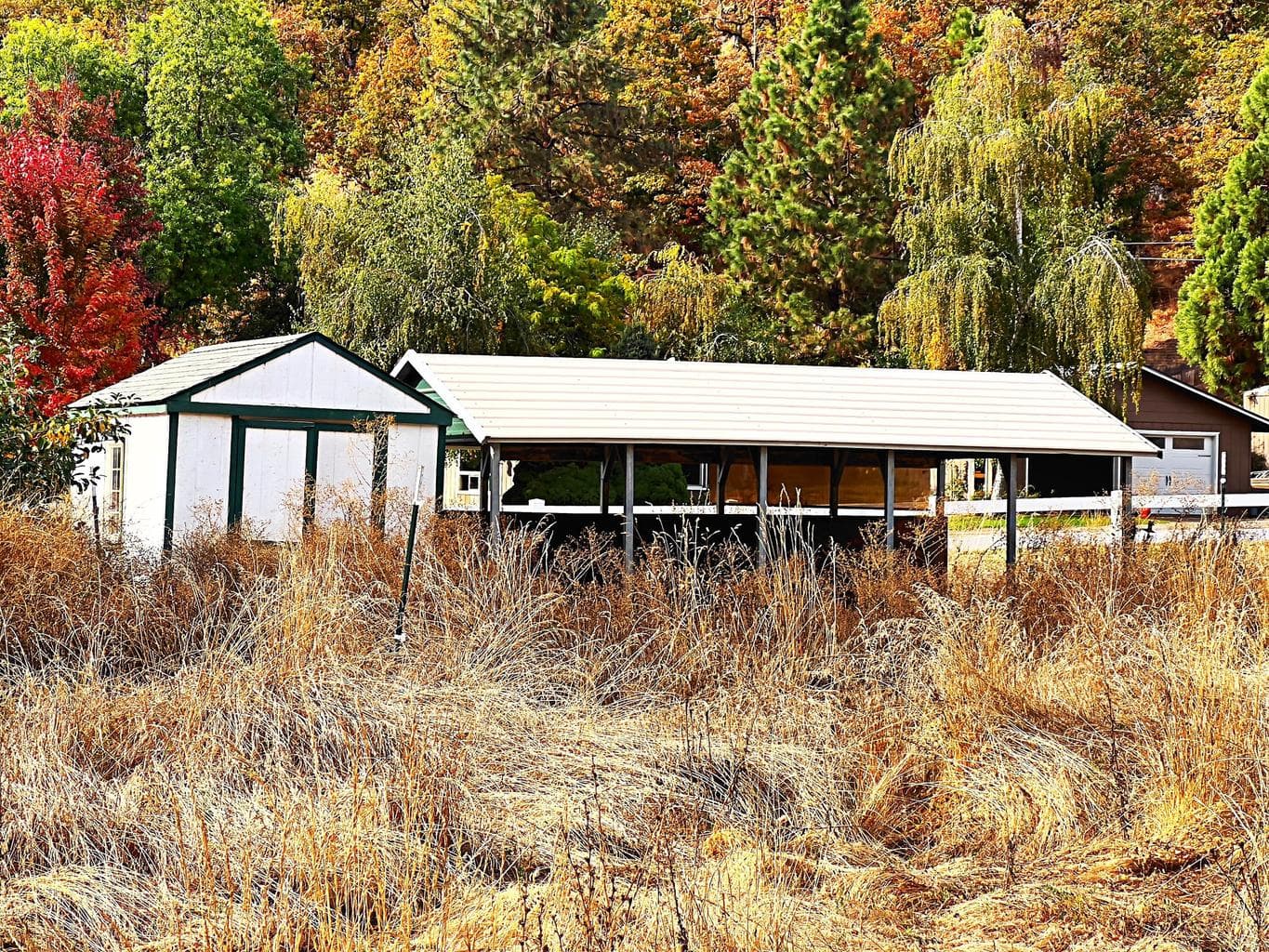 Workshop Shed and Covered Carport at Front of Property