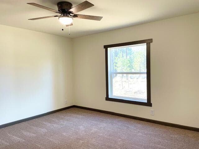 Photo of 11504 Sun Forest Drive 6 of 18