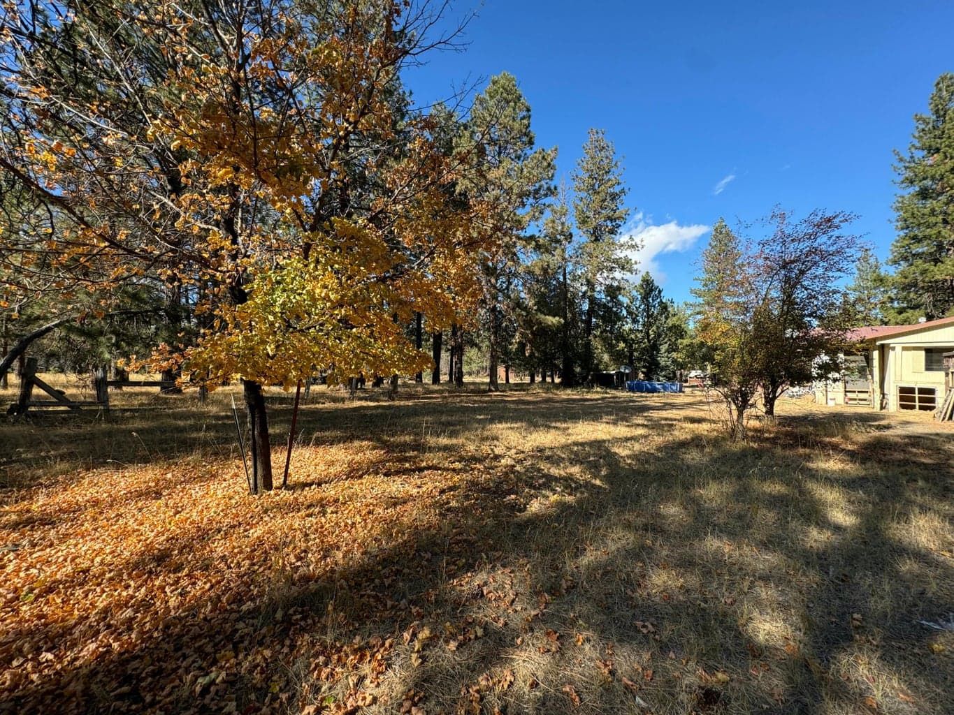 Photo of 68275 Edgington Road 31 of 33