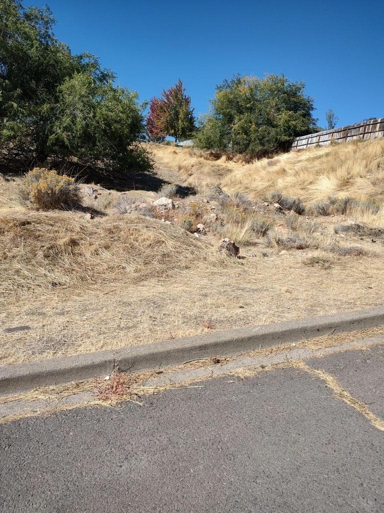 Photo of Lot 1 Williams 1 of 4