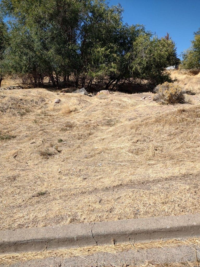Photo of Lot 3 Williams 1 of 4