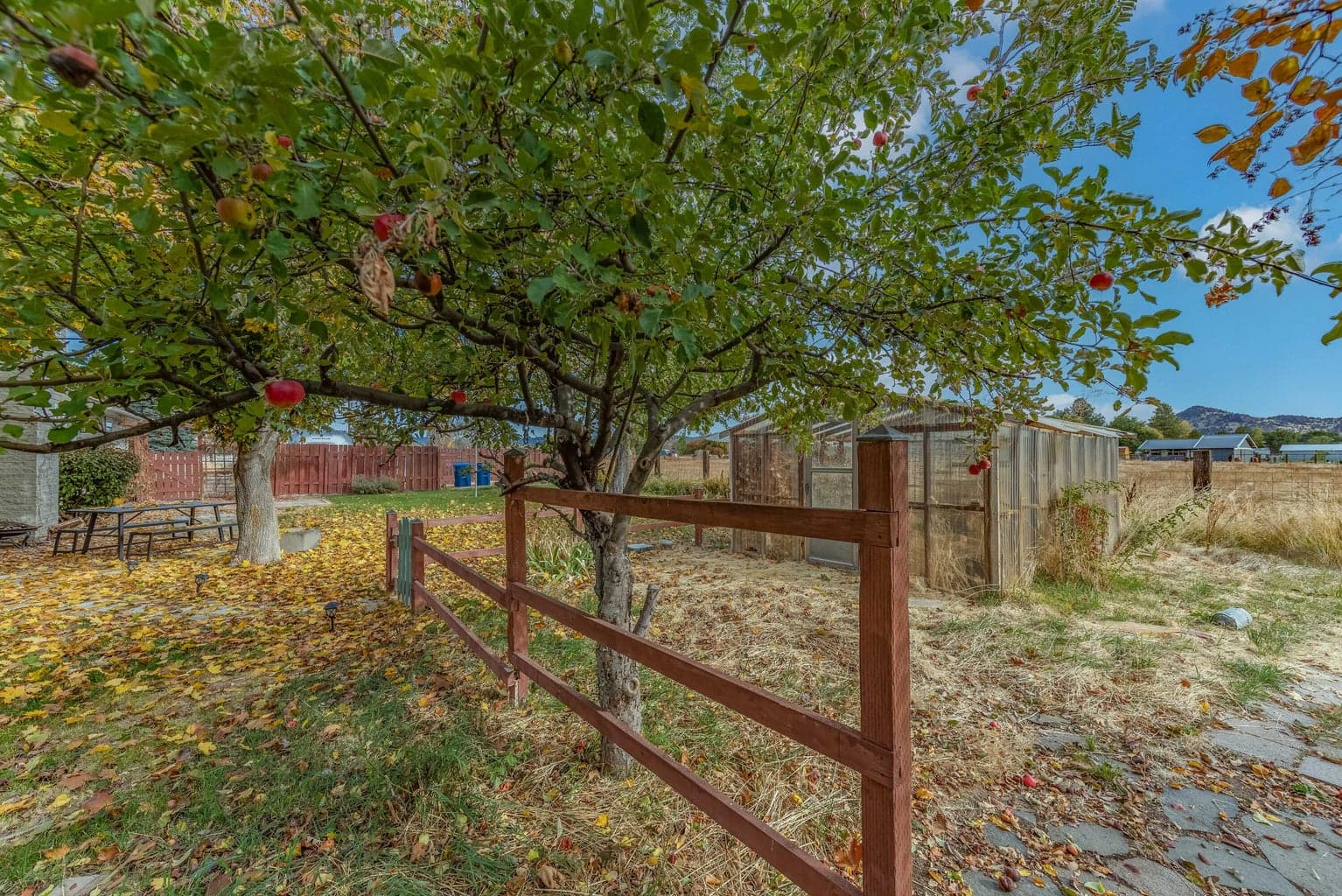 Photo of 544 Apollo Road 16 of 51