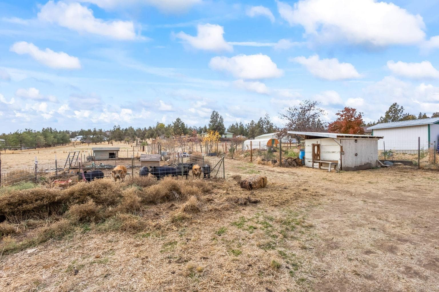Photo of 775 SE Tumbleweed Lane 40 of 46