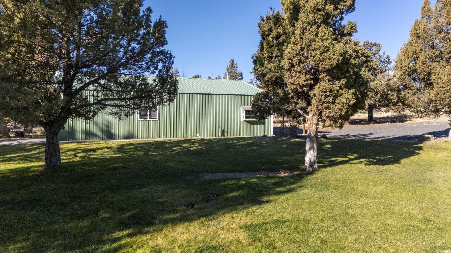 Plenty of green grass and shade!