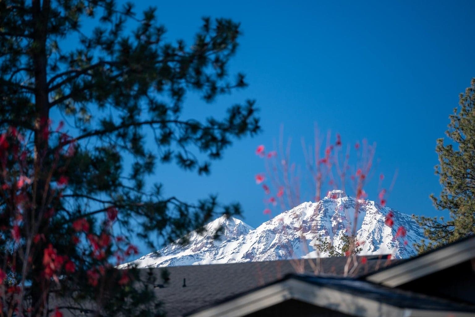 Cascade mountain views from the house