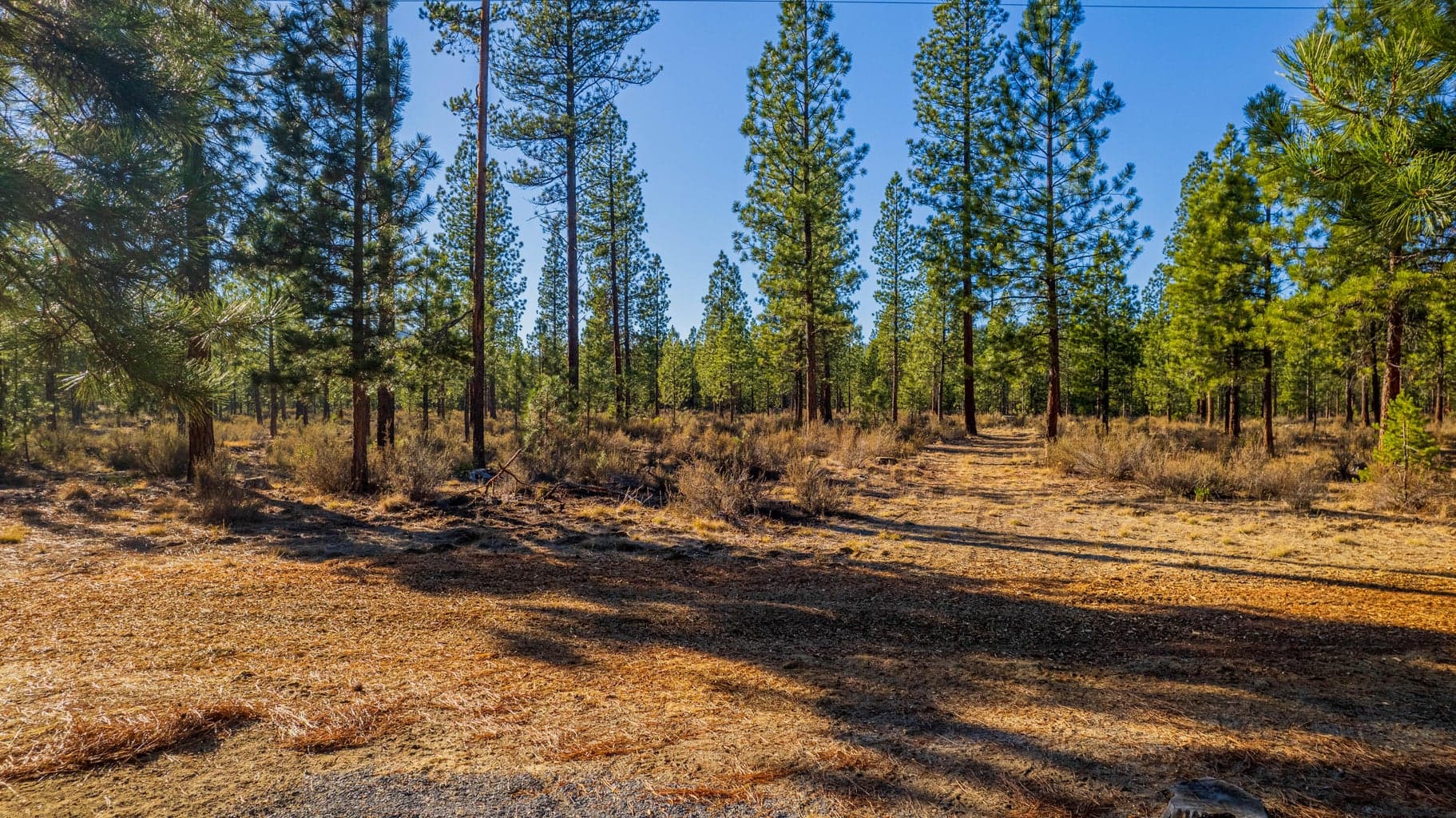 Adjoins the National Forest.