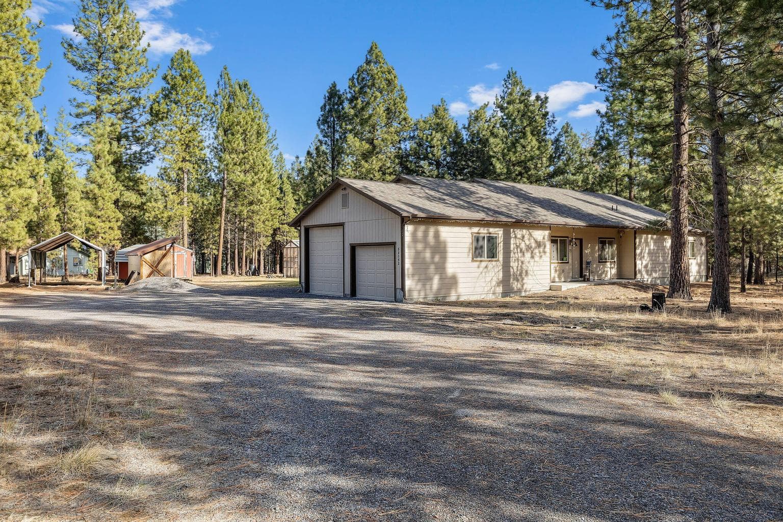Photo of 52052 Red Pine 1 of 29